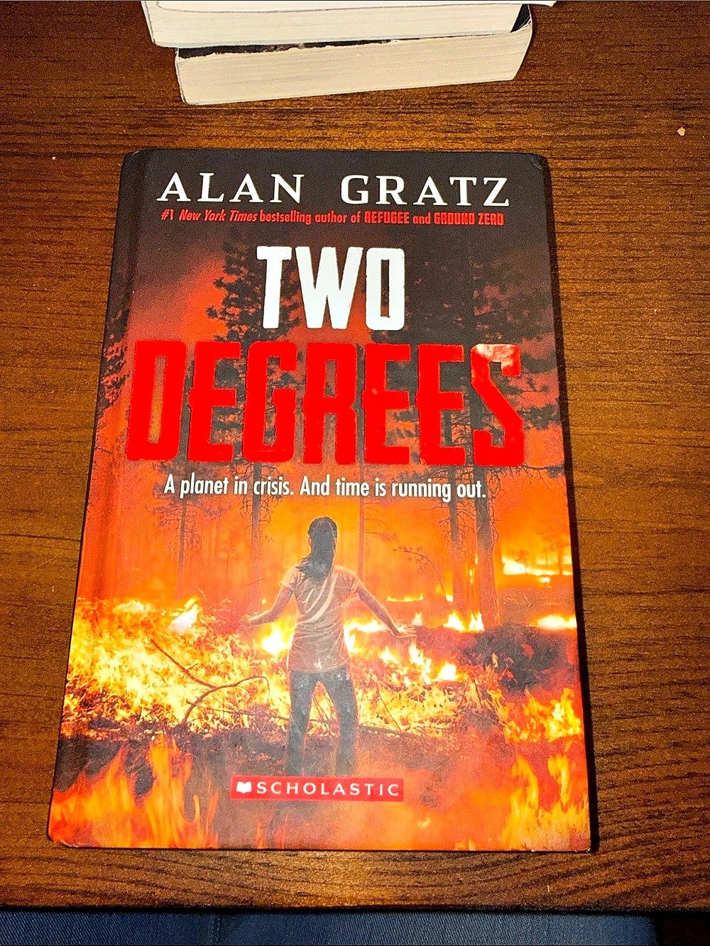 Scholastic Two Degrees by Alan Gratz Young Adult Novel